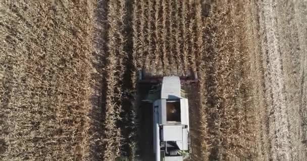 农村和农业 飞越田野 从高处看联合收割机除去燕麦 — 图库视频影像