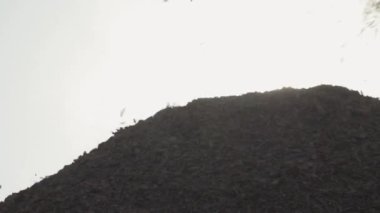 El bilgisayarı, marangozluk endüstrisi, ağaç gövdelerinin geri dönüşümü, iş yerinde odunları talaş haline getirmek için makine, odun öğütücü, uçan odun parçacıkları..