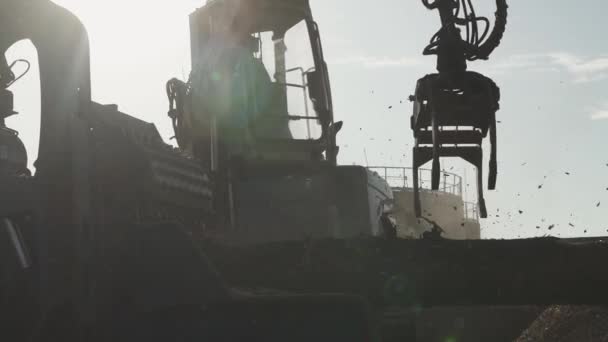 Bělorusko Minsk Října 2019 Dřevozpracující Průmysl Recyklace Kmenů Stromů Třísky — Stock video