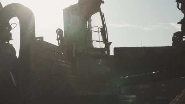 Belarús Minsk Octubre 2019 Trabajos Carpintería Reciclaje Troncos Árboles Astillas — Vídeos de Stock
