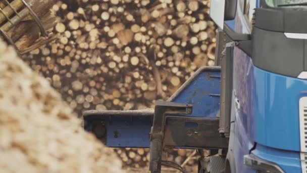 Industria Artesanal Madera Reciclaje Troncos Árboles Astillas Máquina Para Cortar — Vídeos de Stock