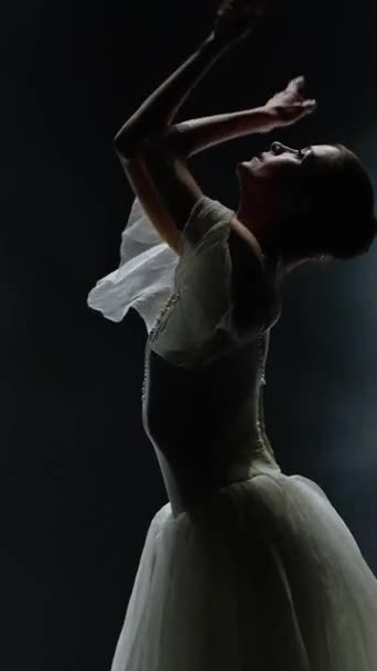 Ballettaufführung Vertikales Video Dramatischer Tanz Anmutige Ballerina Weißen Tutu Choreografische — Stockvideo