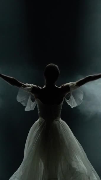 Ballet Vidéo Verticale Gracieuse Ballerine Dans Une Danse Tutu Blanche — Video
