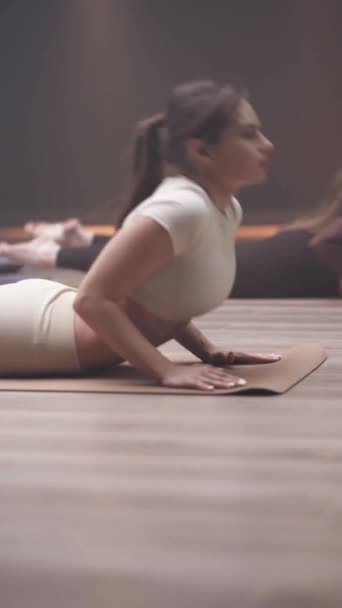 一群年轻女子在健身室做瑜伽 柔韧的女孩表演着优美的伸展动作 其中有瑜伽元素 垂直视频 — 图库视频影像
