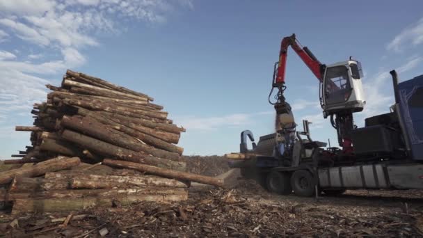 ベラルーシ ミンスク 2019年10月12日 スプライターへの木工のトランクのリサイクル 仕事で木材を粉砕するための機械 作業中の労働者 — ストック動画