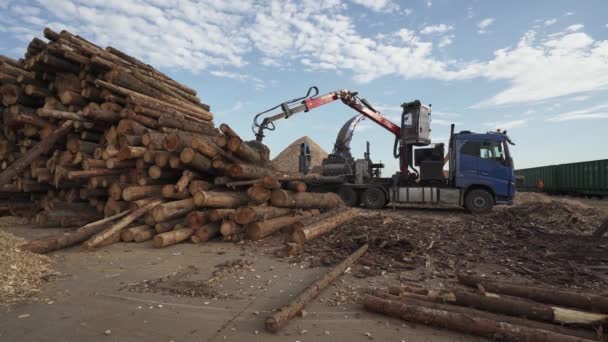 Belarús Minsk Octubre 2019 Trabajos Madera Reciclaje Troncos Árboles Astillas — Vídeos de Stock