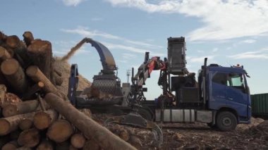 Belarus, Minsk - 12 Ekim 2019 ağaç gövdelerinin kıymık haline getirilmesi, odun kesme makinesi, odun öğütücü, iş yerinde çalışan bir işçi..