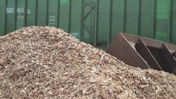 Valko Venäjä Minsk Lokakuuta 2019 Puunjalostus Puunrunkojen Kierrätys Sirpaleiksi Hydrauliikkakone — kuvapankkivideo