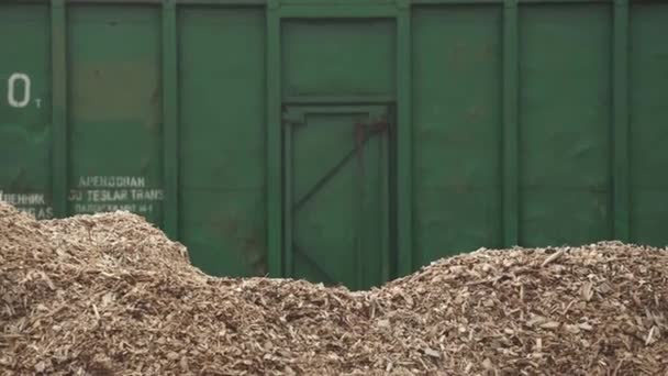 Bielorussia Minsk Ottobre 2019 Lavorazione Del Legno Riciclaggio Dei Tronchi — Video Stock