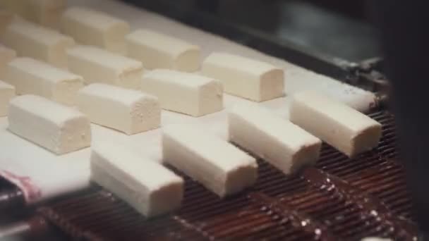 Mandıra Üretimi Çikolataların Konveyöre Çevrilmesi Çikolata Kaplı Peynirler Kaplama Işlemleri — Stok video