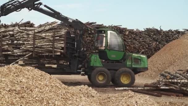Bělorusko Minsk Října 2019 Dřevoobrábění Recyklace Kmenů Stromů Přeprava Kulatiny — Stock video
