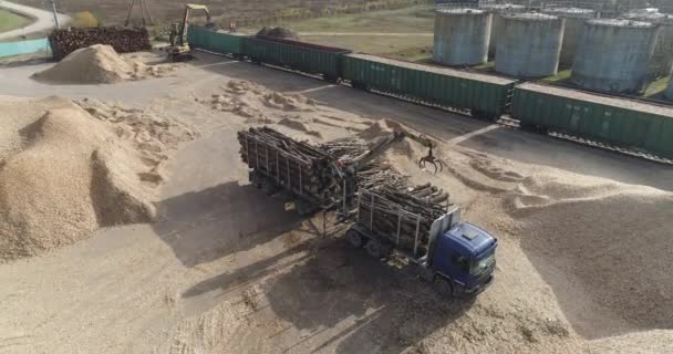 白俄罗斯 明斯克 2019年10月12日 木制航景 将树干回收成碎片 从卡车上卸下原木 从高处建造木材加工厂 — 图库视频影像