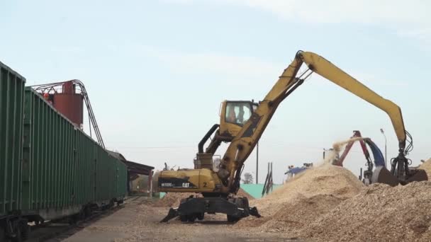 Belarús Minsk Octubre 2019 Trabajos Madera Reciclaje Troncos Árboles Astillas — Vídeo de stock