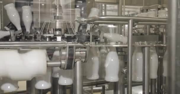 Producción Leche Botellas Plástico Blanco Transportadas Transportador Línea Producción Automatizada Clip De Vídeo