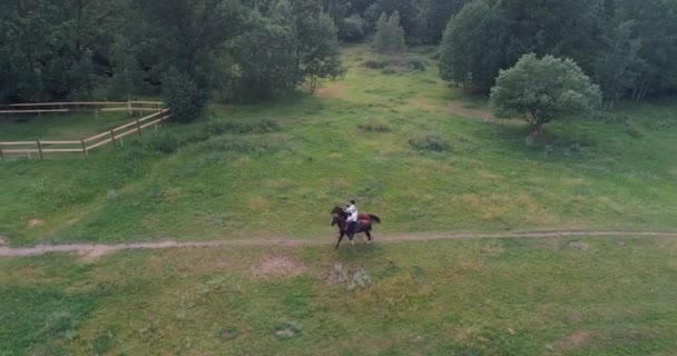 Familie Outdoor Recreatie Man Cowboy Een Vrouw Paardrijden Ouders Rijden — Stockvideo