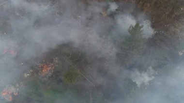 Ormanların yok edilmesi, ormanın yüksekliği, sis ve duman, orman kesiminde uçmak, ormandaki şenlik ateşleri.