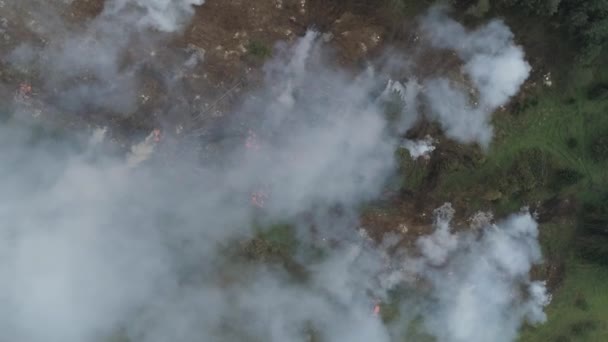 Deforestación Bosque Desde Altura Niebla Humo Vuelo Sobre Tala Forestal Clip De Vídeo