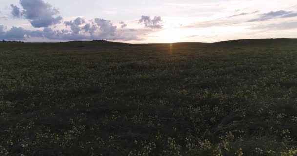 Güzel Doğal Manzaralar Kırsaldaki Yeşil Tarlaların Manzarası Akşam Vakti Gün Stok Video