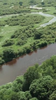 Dikey video, doğa hava manzarası, nehir vadisi manzarası yükseklik, bataklık ve yeşil orman, kano, arka plan.