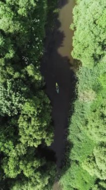 Nehirde rafting yapmak, yüksek bir yerden kayak yapmak, bir orman bölgesinde nehirde yüzen kaşifler takımı, ekoloji, dikey video..