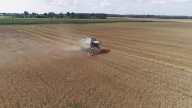 BELARUS, MINSK - 2 Haziran 2019: Kırsal ve tarım, hasatçılar çavdarı kaldırır, tarlayı görür, hasat süreci, yükseklikten görüş.