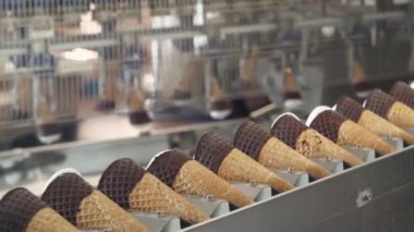 Dondurma üretimi, ulaşım waffle-konisi ve plombir dondurması taşıyıcıda, üretim hattı, süt ürünleri.