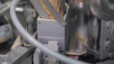 dondurma üretimi, ulaşım waffle ürünleri dondurma için konveyör üzerinde briketler, üretim hattı, süt ürünleri.