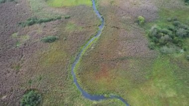 Doğal hava manzarası, nehir vadisi, nehirlerin ve bataklıkların yüksekliğinden güzel manzara, yeşil manzaralar, arka plan..