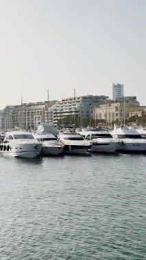 Malta, Valletta - 23 Mart 2025: Archipelago, körfezdeki yatların manzarası, eski kasaba ve yat limanı, körfez manzaralı dikey video.