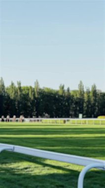 Güneşli bir günde at yarışı turnuvası, hipodrom dikey videosu, hipodrom görüntüsü ve yavaş çekim, yarış pistinde jokeyli bir at koşusu..