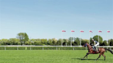 Bulanık görüş, Hipodrom, güneşli bir günde at yarışı turnuvası jokeylerle ağır çekimde koşan atlar, yan görüş..