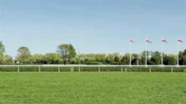 Güneşli bir günde at yarışı turnuvası, bulanık görüş, jokeyli bir at yarış pisti, yavaş çekim, yan görüş.