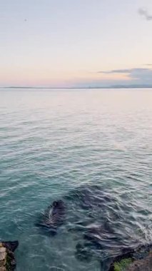 Sahil manzarası, güzel deniz manzarası, dalgalar, taşlar ve kayalar, dikey video arkaplan.