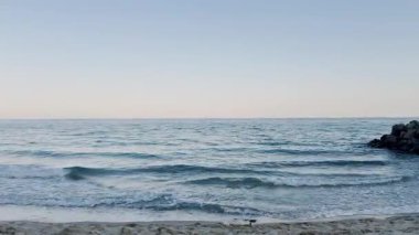 Sahil manzarası, akşam denizi manzarası, taşlar ve kayalar, video arka plan..