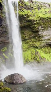 İzlanda şelalesi manzarası, İzlanda doğasının güzel manzarası ve dünya dokusunun huzur manzarası, şelale manzarası, yeşil kayalık arazi arka planı..
