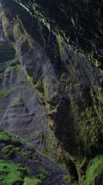 İzlanda, bir mağaranın içinde, İzlanda doğasının dikey videosu, dinginlik, su akışı manzarası, yeşil kayalık arazi doğa.