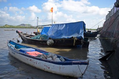  Mumbai balıkçılık limanı, Hindistan 