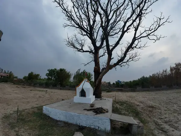 Kutsal bir ağacın, sembolik dini bir yapının ve bulutlu gökyüzünün bulunduğu kırsal bir Kızılderili sahnesi.