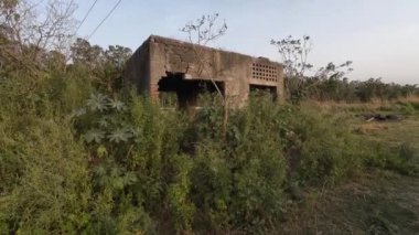 Terk Edilmiş Tarlalarda Bitki Yetiştiren Ev