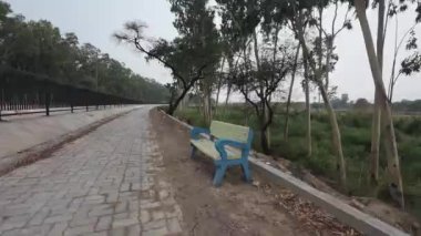 Kırsal alanda Dinlenme Bençine sahip Poplar Çizgili Yol