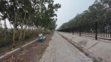 Kırsal alanda Dinlenme Bençine sahip Poplar Çizgili Yol