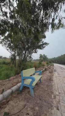 Kırsal alanda Dinlenme Bençine sahip Poplar Çizgili Yol