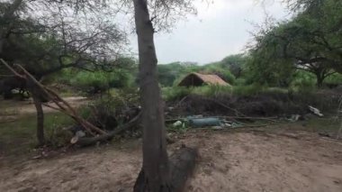 Sakin bir kırsal alanda ağaçların arasına yerleşmiş, doğal güzellik ve sükuneti sergileyen kırsal bir kulübe.