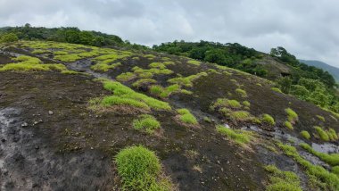 Rocky Arazisi Yeşil Yamalı Kanheri Mağaraları, Mumbai, Hindistan