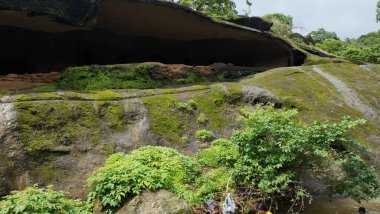 Rocky Arazisi Yeşil Yamalı Kanheri Mağaraları, Mumbai, Hindistan