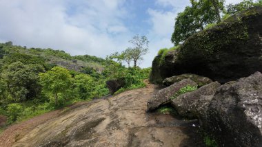 Rocky Arazisi Yeşil Yamalı Kanheri Mağaraları, Mumbai, Hindistan