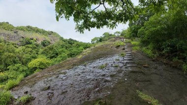 Rocky Arazisi Yeşil Yamalı Kanheri Mağaraları, Mumbai, Hindistan