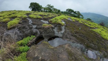 Rocky Arazisi Yeşil Yamalı Kanheri Mağaraları, Mumbai, Hindistan
