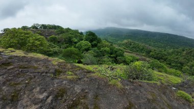 Rocky Arazisi Yeşil Yamalı Kanheri Mağaraları, Mumbai, Hindistan