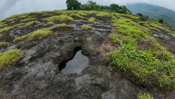 Rocky Arazisi Yeşil Yamalı Kanheri Mağaraları, Mumbai, Hindistan